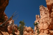 06 - Bryce Canyon NP (13)